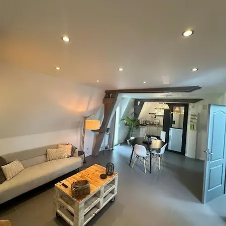 Charmant Appartement Troyen Troyes Exterior foto