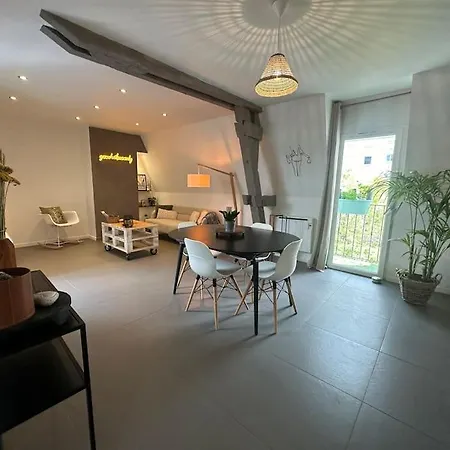 Charmant Appartement Troyen Troyes Exterior foto
