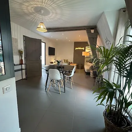 Charmant Appartement Troyen Troyes Exterior foto