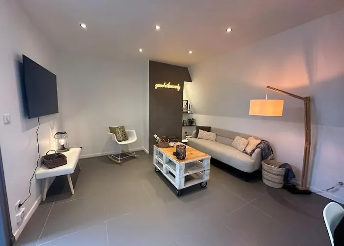 Charmant Appartement Troyen