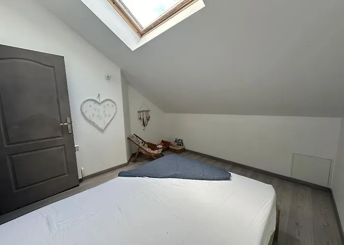 Charmant Appartement Troyen