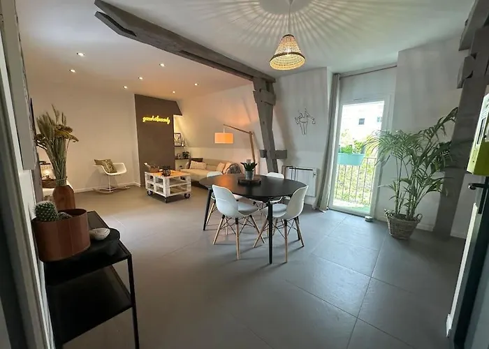 Charmant Appartement Troyen